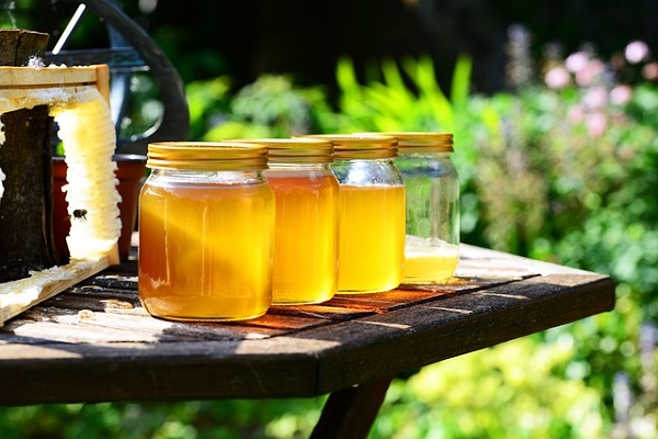 Honey benefits in hindi
