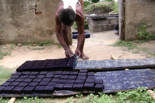Indigo plant uses