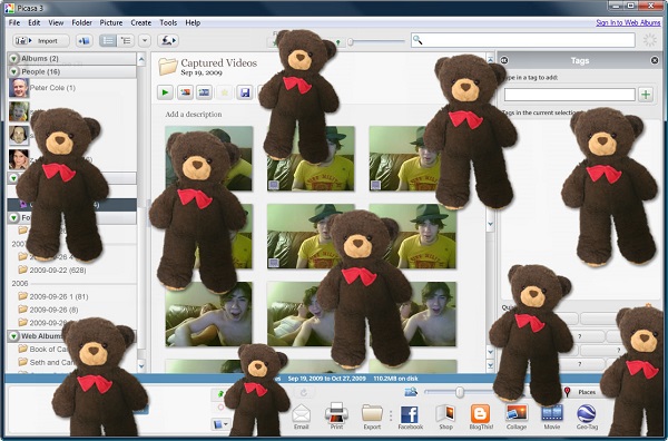 Picasa bear picasa