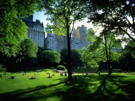 Central Park new york in Hindi