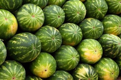 How to buy watermelon in hindi