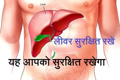 Liver in hindi