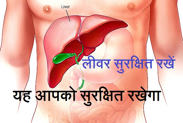 liver-in-hindi