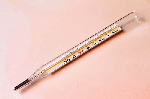 Thyroid Test
