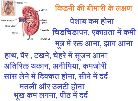 Kidney ki bimari ke lakshan