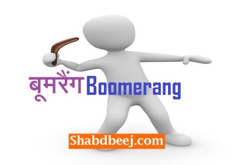 boomerang toy for kids and adults