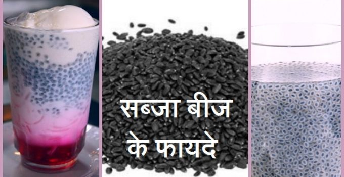 Sabja seeds in hindi