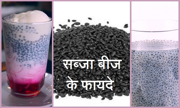About Sabja seeds in hindi