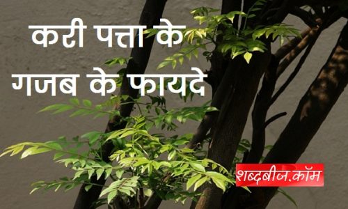 Kadi Patta ke Fayde
