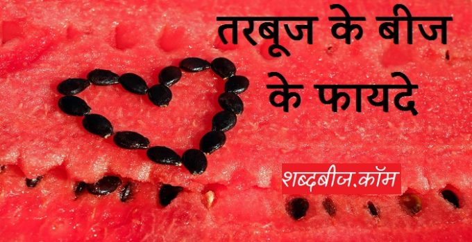 watermelon seeds in hindi