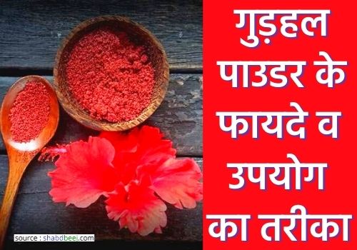 Gudhal powder in hindi