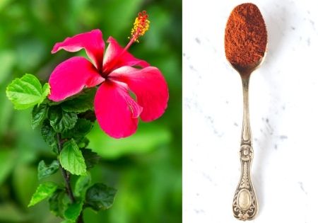 Hibiscus powder benefits in hindi