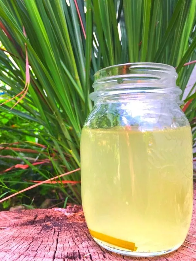 lemongrass tea benefits